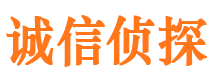 镇安侦探